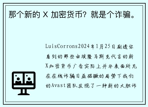 那个新的 X 加密货币？就是个诈骗。